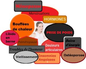 Atelier et cours de Yoga femmes